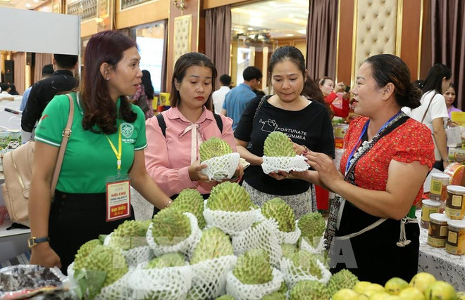 Over 600 transactions recorded at Vietnam-China International Trade Fair ảnh 1
