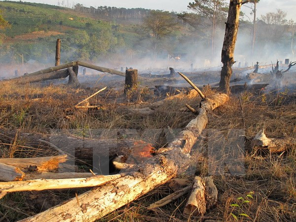 Course helps rangers combat wildlife crime ảnh 1