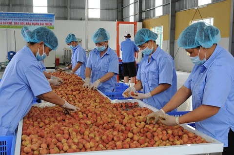 State needs to help cut logistics cost for farm produce ảnh 1 State needs to help cut logistics cost for farm produce ảnh 1