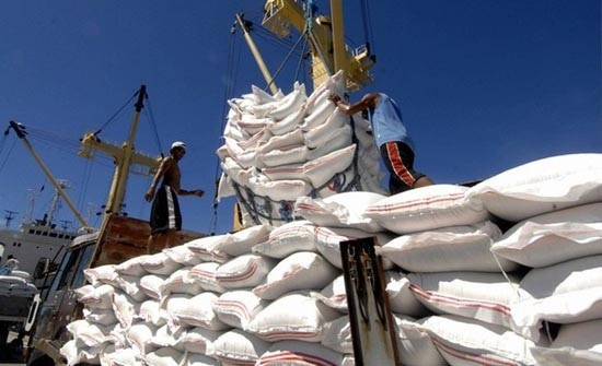 Vietnam to increase rice exports to EU under EVFTA ảnh 1 Vietnam to increase rice exports to EU under EVFTA ảnh 1