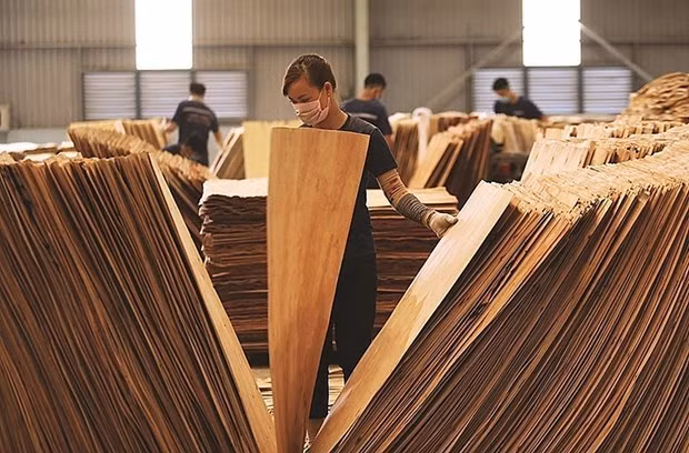 US extends duties investigation into plywood from Vietnam ảnh 1