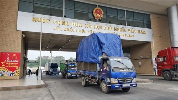 Over 5,000 tonnes of fresh lychee shipped to China via Lao Cai border gate ảnh 1 Over 5,000 tonnes of fresh lychee shipped to China via Lao Cai border gate ảnh 1