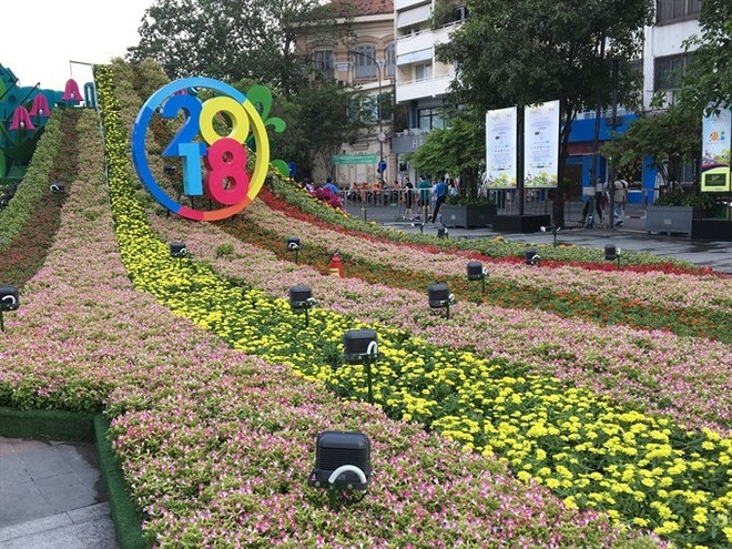 Nguyen Hue Flower Street opens for Tet ảnh 1