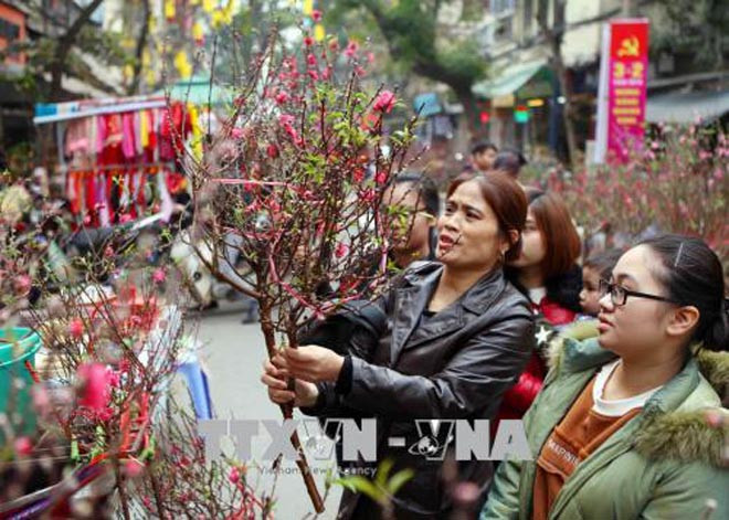 Hanoi bustling in spring days ảnh 1