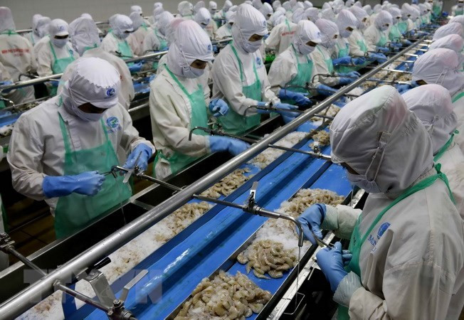 Auspicious start for Vietnamese seafood exports to EU ảnh 1