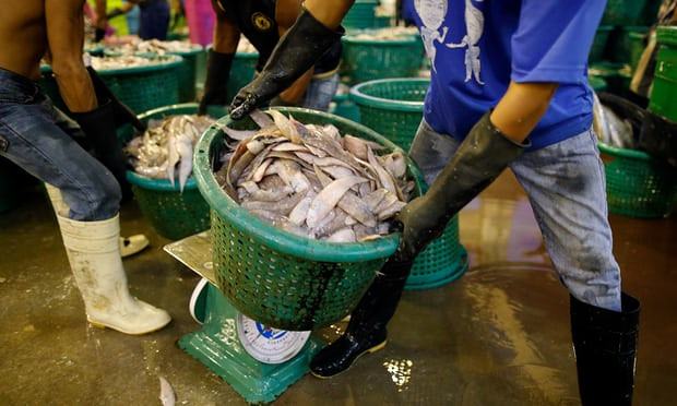 Thai gov't ramps up crusade against illegal fishing, human trafficking ảnh 1