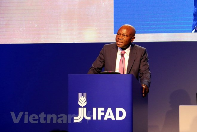 Vietnam attends IFAD Governing Council’s meeting ảnh 1