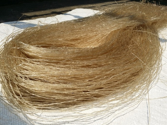 Cellophane noodles are great for New Year ảnh 1