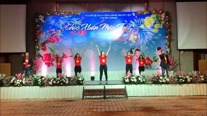 Vietnamese embassies celebrate Lunar New Year ảnh 1