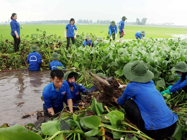 Contest for rural youth start-ups launched ảnh 1 Contest for rural youth start-ups launched ảnh 1