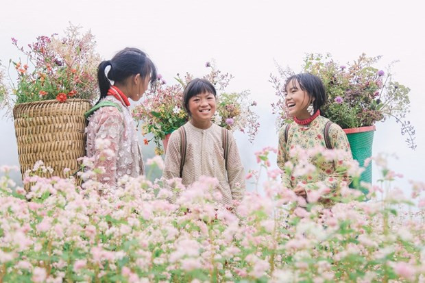 Virtual tourism offers new way for Ha Giang ảnh 1