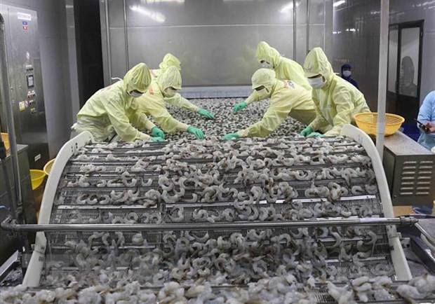 Vietnamese, Brazilian businesses eye stronger trade ties ảnh 1