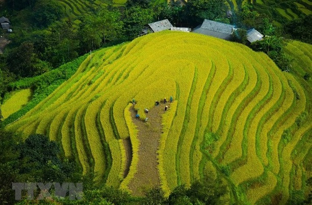 Virtual tourism offers new way for Ha Giang ảnh 2