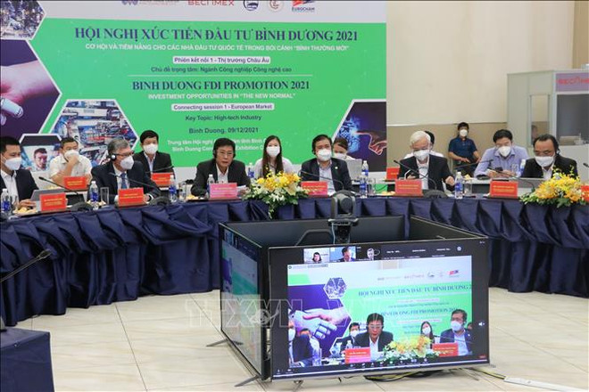 Binh Duong looks for more investment from Europe ảnh 1
