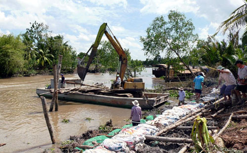 Tien Giang's district launches measures to ensure production in dry season ảnh 1