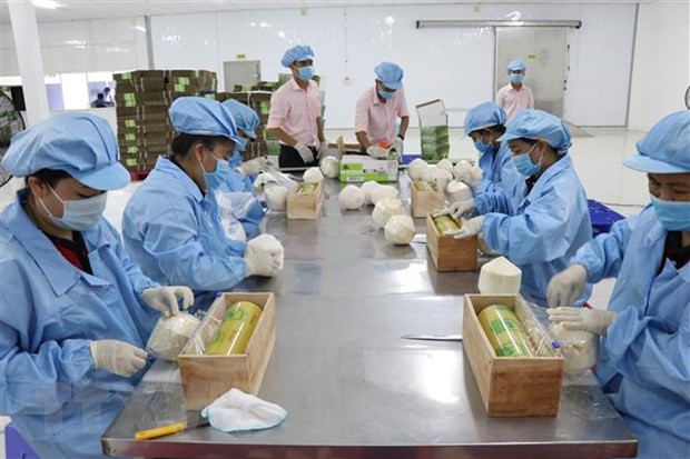 Ben Tre’s export turnover up 14.1 percent in six months ảnh 1