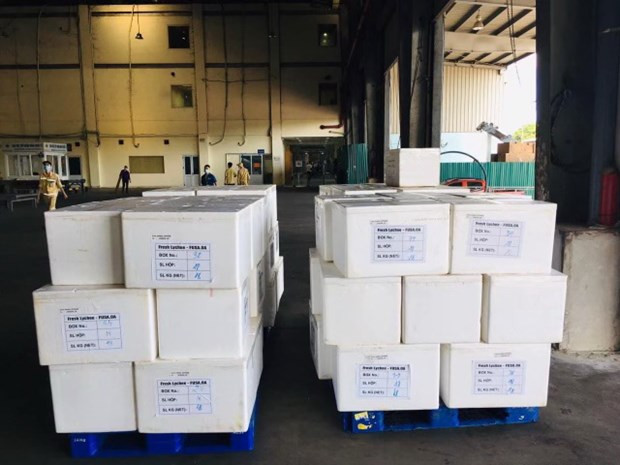 Vietnamese lychee wins British consumers' hearts ảnh 1