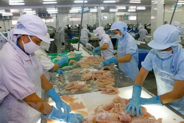 Aquatic product export exceeds 4.1 billion USD in H1 ảnh 1