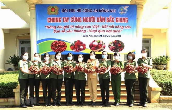 Dong Nai promotes consumption of over 100 tonnes of Bac Giang lychee ảnh 1 Dong Nai promotes consumption of over 100 tonnes of Bac Giang lychee ảnh 1