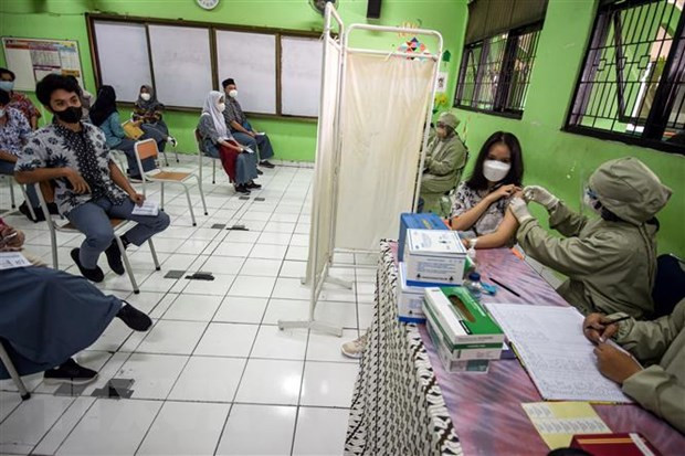 Indonesia imposes partial lockdown in COVID-19 hotspots ảnh 1