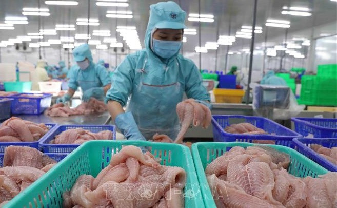 Target for agro-forestry-fishery export value revised up to 45 billion USD ảnh 1