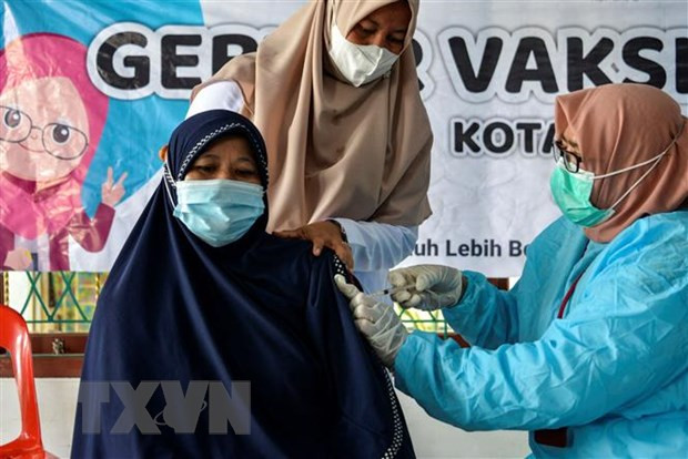 Indonesia imposes emergency lockdown, COVID-19 death toll surges in Malaysia ảnh 1
