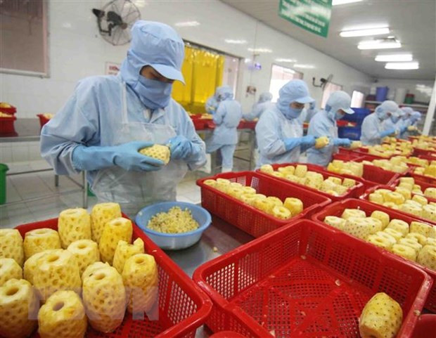 Vietnam’s export turnover surges 28.4 percent in H1 ảnh 1