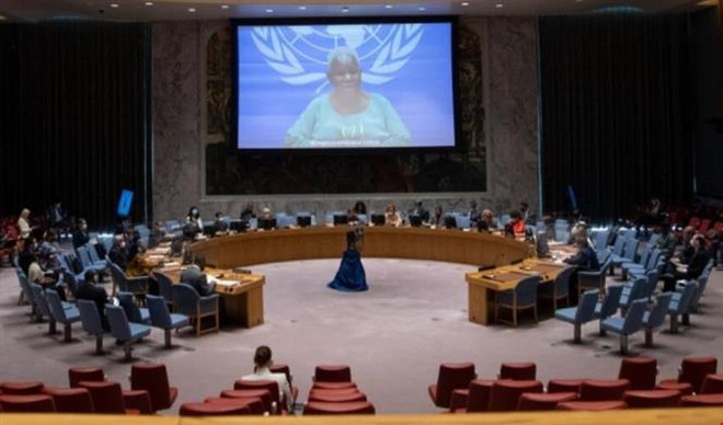 Vietnam upholds reconciliation to end violence in DR Congo ảnh 1