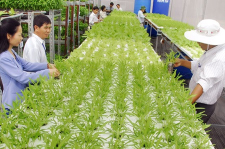 Criteria for recognition of high-tech agriculture zones ảnh 1 Criteria for recognition of high-tech agriculture zones ảnh 1