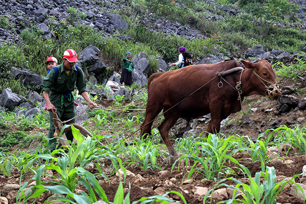 New plan aims to reduce poverty by 1-1.5 percent each year ảnh 1