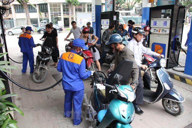 Prices of oil, petrol remain unchanged in latest adjustment ảnh 1