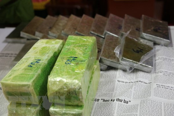 Drug ring busted in central Nghe An province ảnh 1 Drug ring busted in central Nghe An province ảnh 1