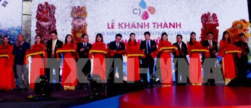 Korean delegation surveys investment climate in Ha Nam ảnh 1 Korean delegation surveys investment climate in Ha Nam ảnh 1