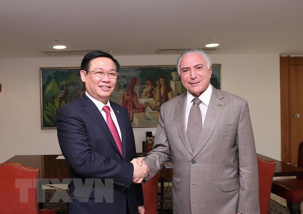 Vietnam, Brazil cement multifaceted cooperation ảnh 1