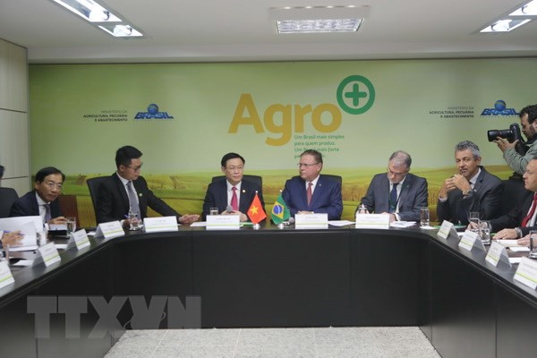 Vietnam, Brazil cement multifaceted cooperation ảnh 3 Vietnam, Brazil cement multifaceted cooperation ảnh 3