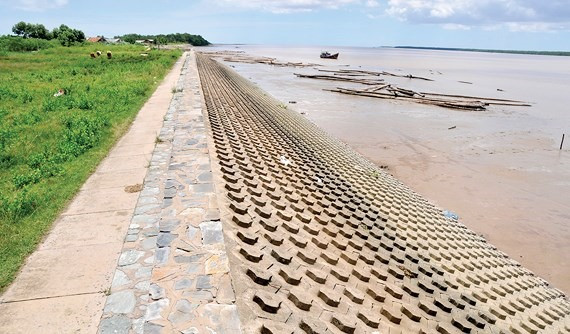 HCM City’s sea dyke aims to stop waterlogging ảnh 1