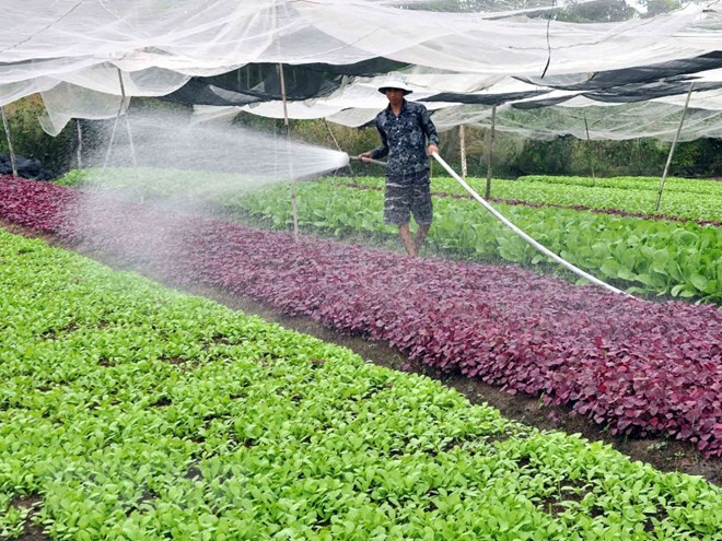 Over 76 percent of Hanoi communes recognised as new-style rural areas ảnh 1