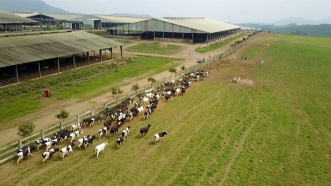 Farmers in central region urged to develop hi-tech agriculture ảnh 1 Farmers in central region urged to develop hi-tech agriculture ảnh 1