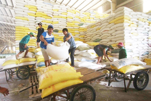 11-month rice export down in volume, up in value ảnh 1 11-month rice export down in volume, up in value ảnh 1