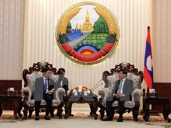 Laos welcomes Vietnam’s projects on goods production, wood processing ảnh 1
