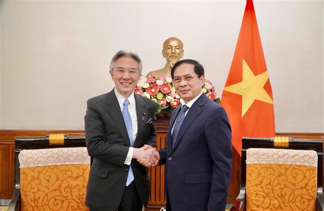 Vietnam, Japan look to step up culture, education, science, technology cooperation ảnh 1 Vietnam, Japan look to step up culture, education, science, technology cooperation ảnh 1