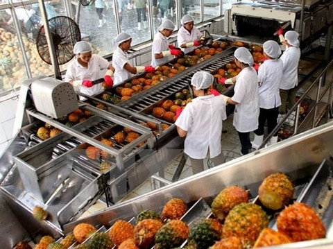 Meeting SPS key to sustainable agricultural exports to EU ảnh 1 Meeting SPS key to sustainable agricultural exports to EU ảnh 1