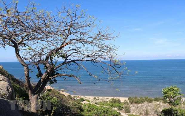 Push for Ninh Thuan’s tourism to take off ảnh 2 Push for Ninh Thuan’s tourism to take off ảnh 2