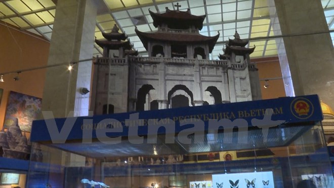 ASEAN colours shine at Moscow exhibition ảnh 1