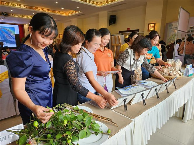 Project proves women’s role in increasing community’s resilience to natural disasters ảnh 1 Project proves women’s role in increasing community’s resilience to natural disasters ảnh 1