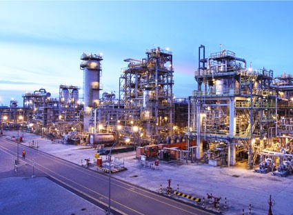  Thai firm keen on 100 percent stake at LSP ảnh 1