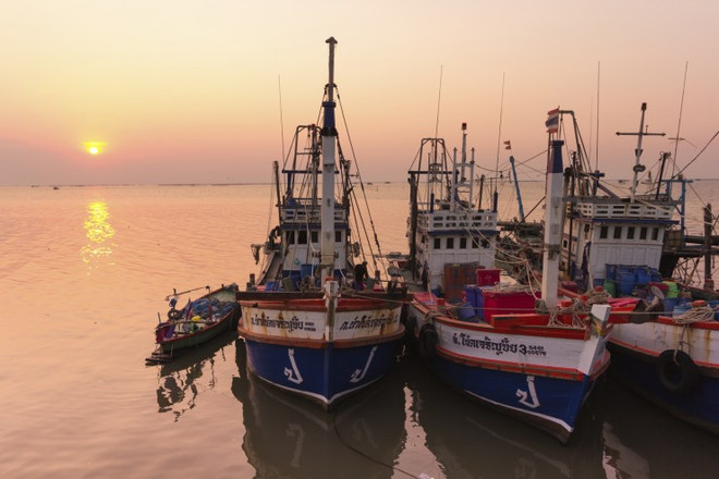 Thai government urgently tackling IUU fishing ảnh 1 Thai government urgently tackling IUU fishing ảnh 1