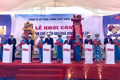 Work starts on fruit processing centre in Gia Lai ảnh 1 Work starts on fruit processing centre in Gia Lai ảnh 1