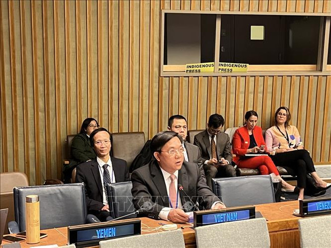 Vietnam shares experience in economic development, population affairs to achieve SDGs ảnh 1