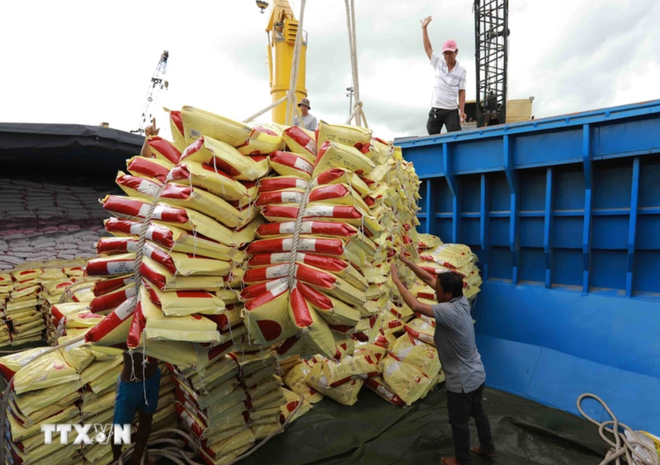 Vietnam to have enough 8 million tonnes of rice for export ảnh 1 Vietnam to have enough 8 million tonnes of rice for export ảnh 1